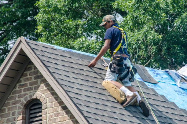 Best Roof Waterproofing Services  in Gloster, MS